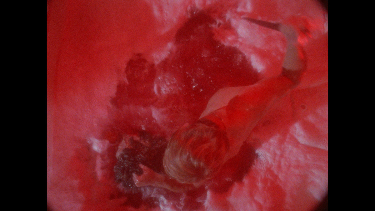 Home Grown Horrors: Volume Three