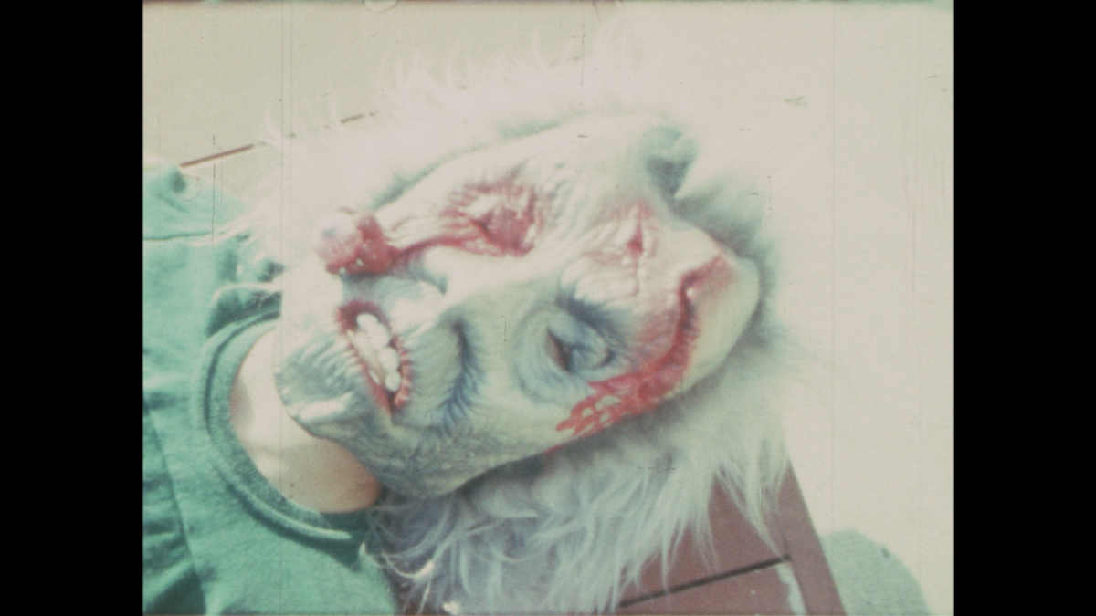 The Adam Rifkin Film Festival