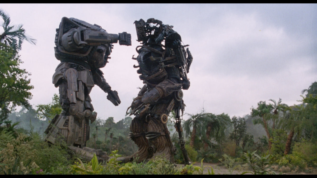 Robo Warriors
