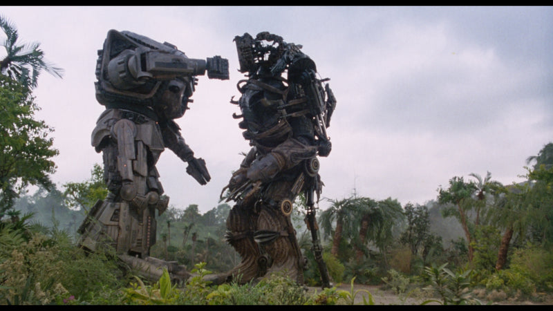 Robo Warriors