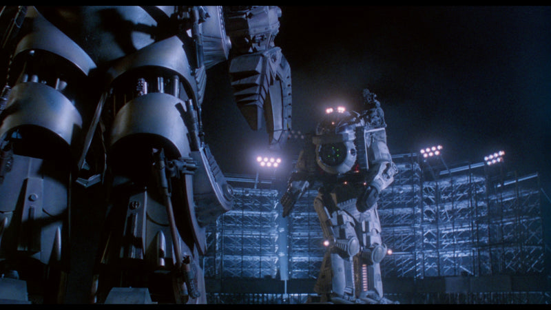 Robo Warriors