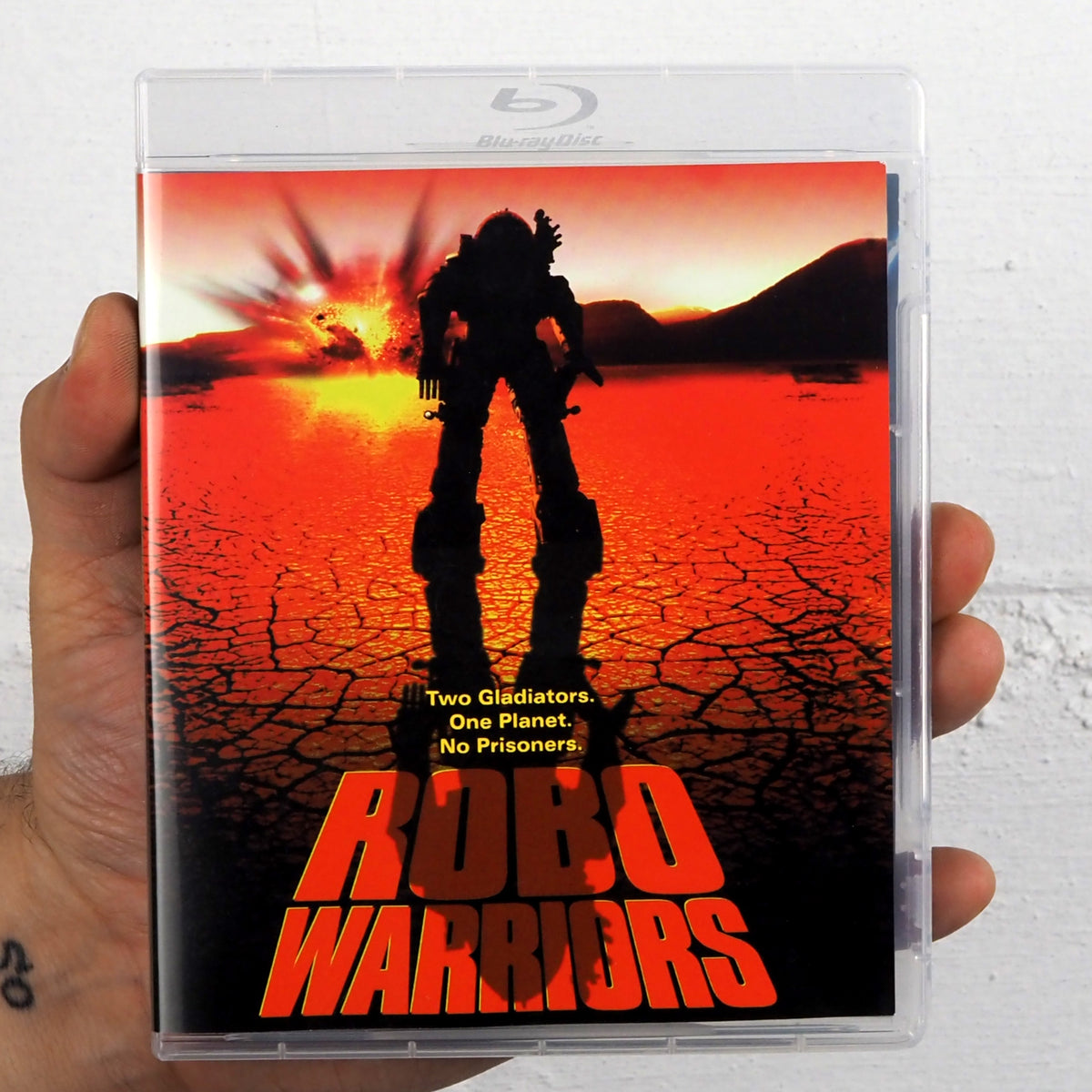 Robo Warriors