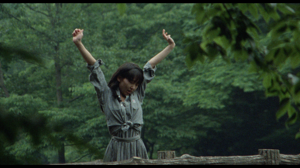 The Films of Hisayasu Satô: Volume #4 - Soft Skin / Save the Last Dance for Me / Survey Map of a Paradise Lost
