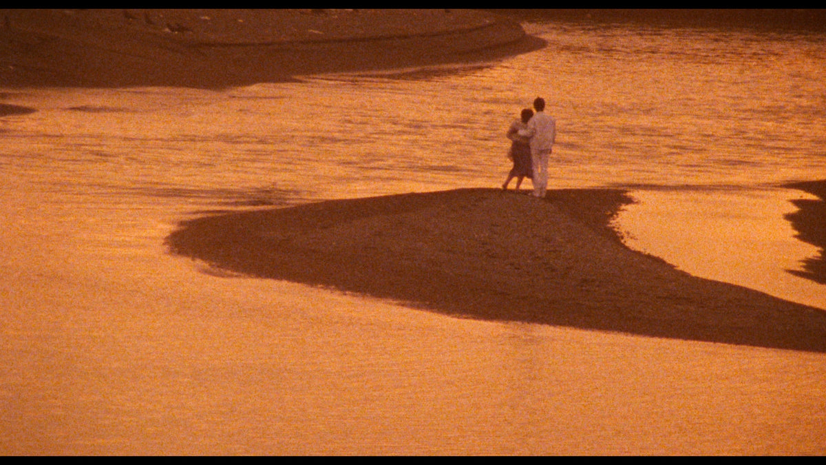 The Films of Hisayasu Satô: Volume #4 - Soft Skin / Save the Last Dance for Me / Survey Map of a Paradise Lost