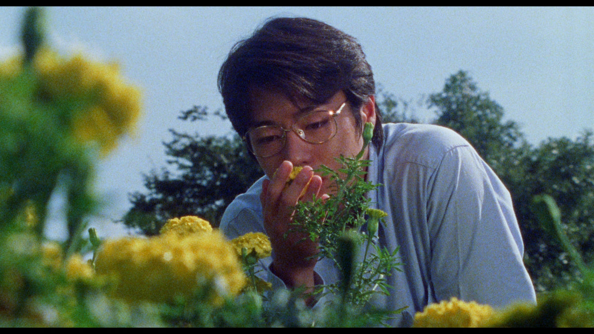 The Films of Hisayasu Satô: Volume #4 - Soft Skin / Save the Last Dance for Me / Survey Map of a Paradise Lost