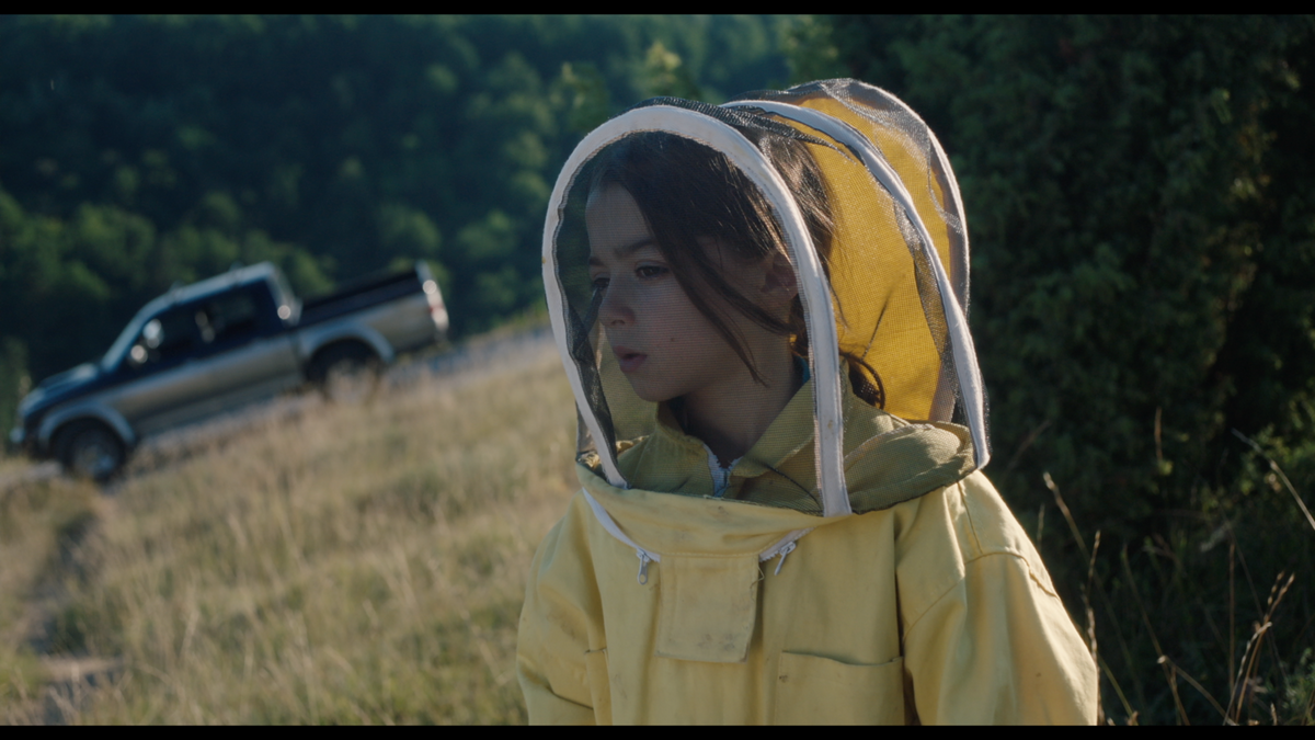 20,000 Species of Bees