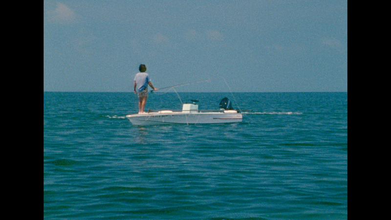 Tarpon