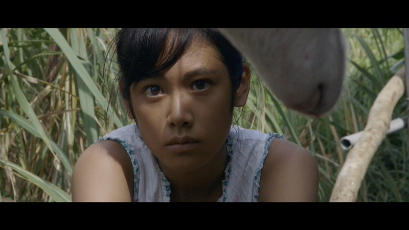 Nature and Nurture: Three Films By Naomi Kawase