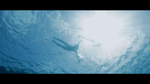 Nature and Nurture: Three Films By Naomi Kawase