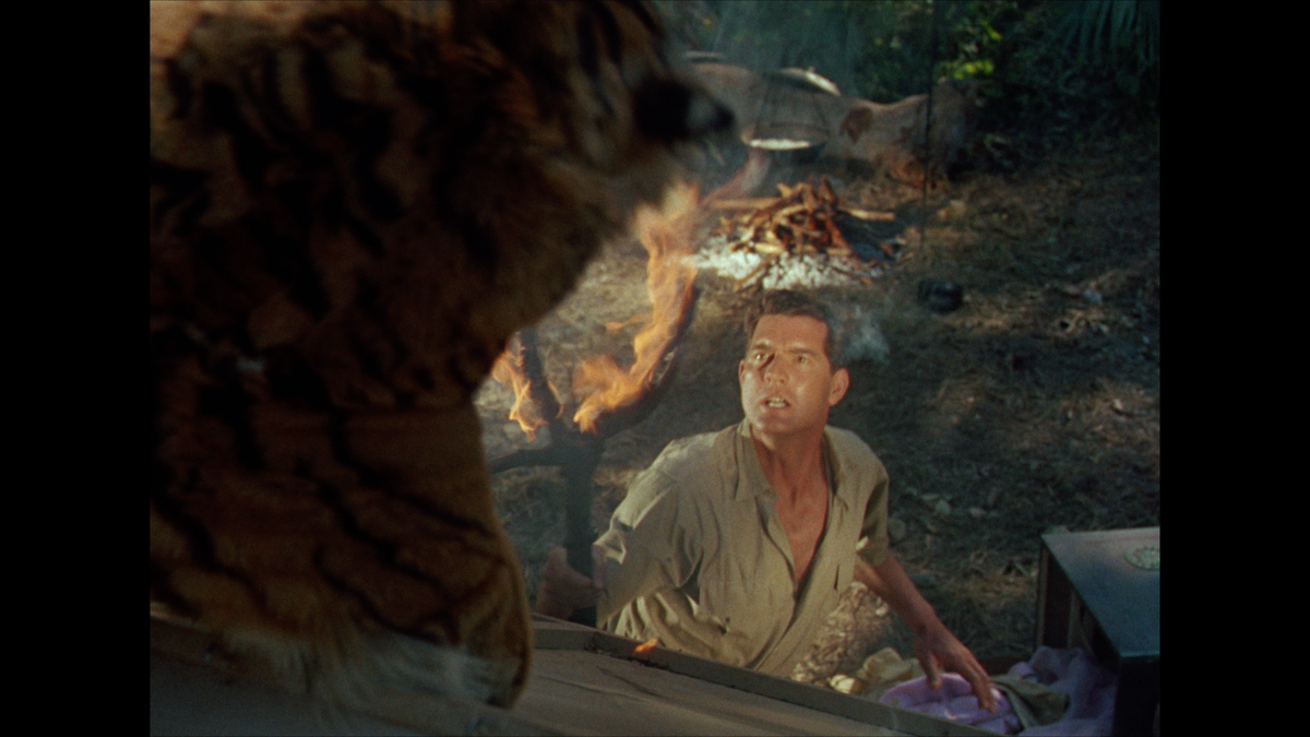 Fritz Lang's Indian Epic: The Tiger of Eschnapur and The Indian Tomb