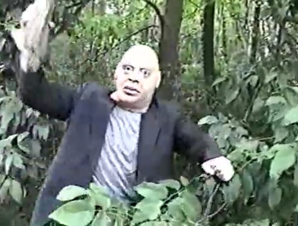 David "The Rock" Nelson Collection: Volume 3
