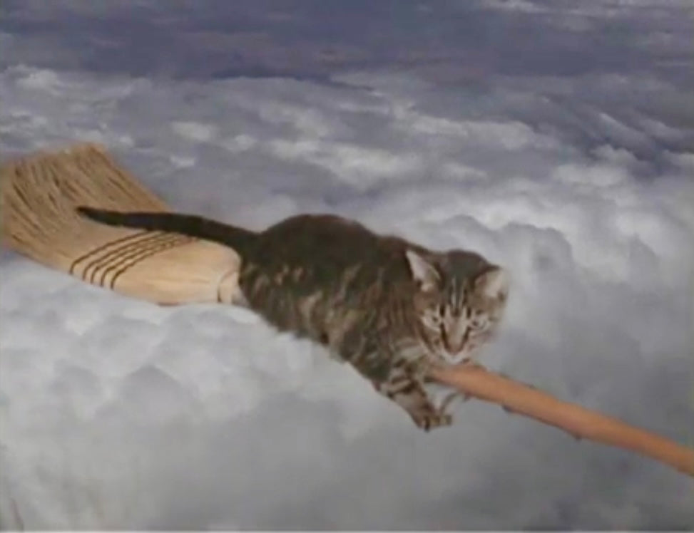 The Stupefying Siren Tales of Pamela Sutch