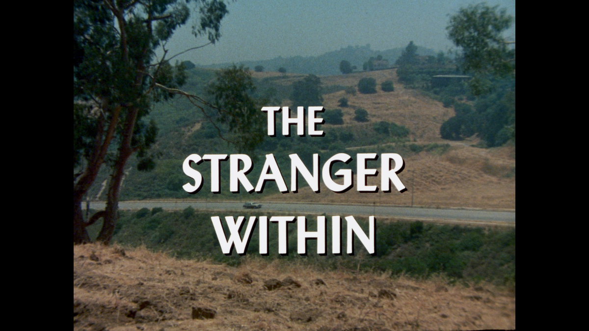 The Stranger Within