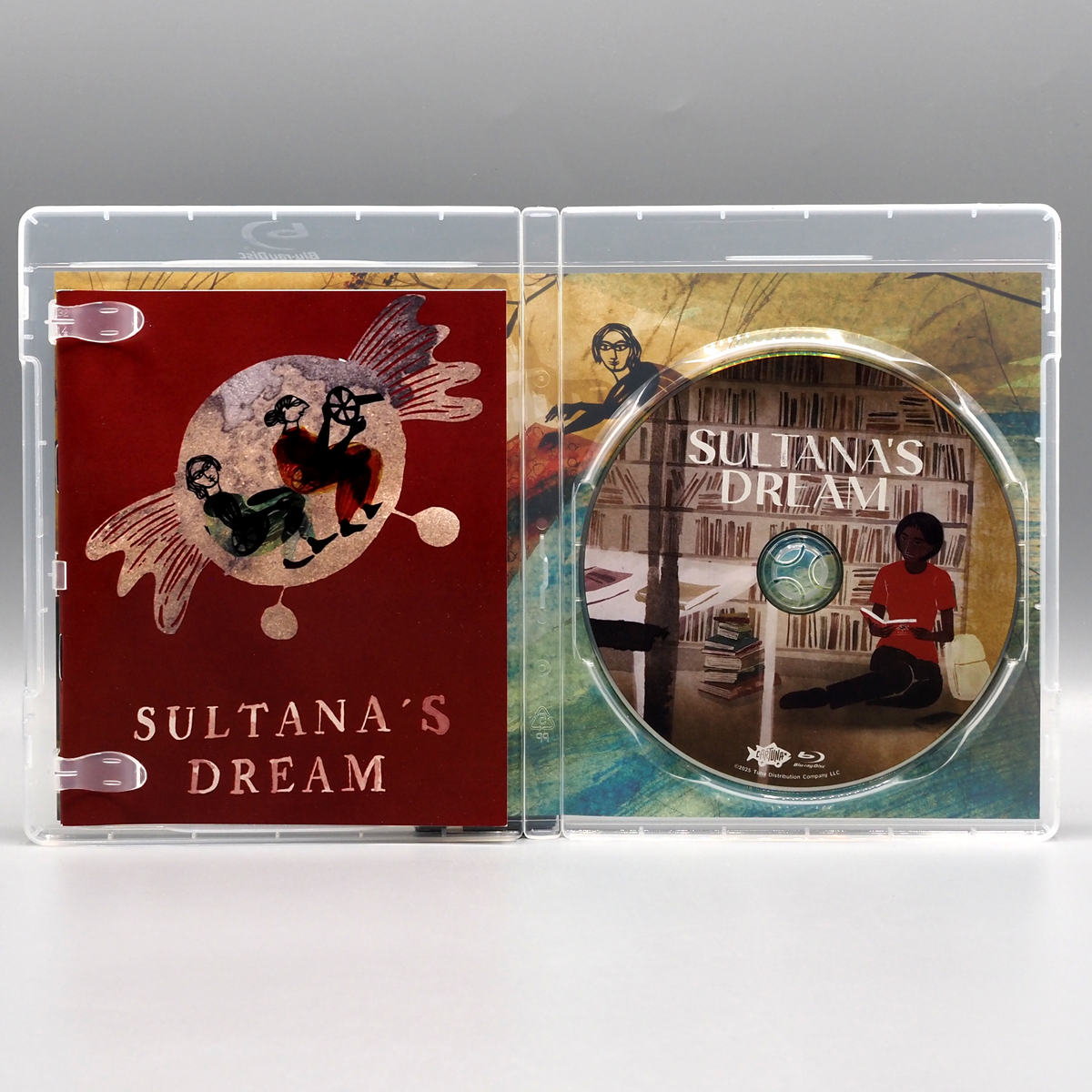 Sultana's Dream