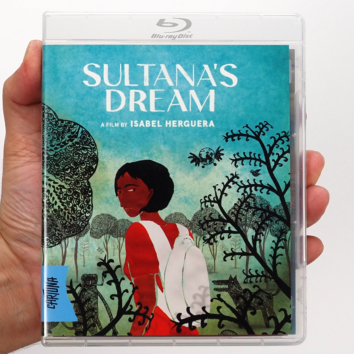 Sultana's Dream