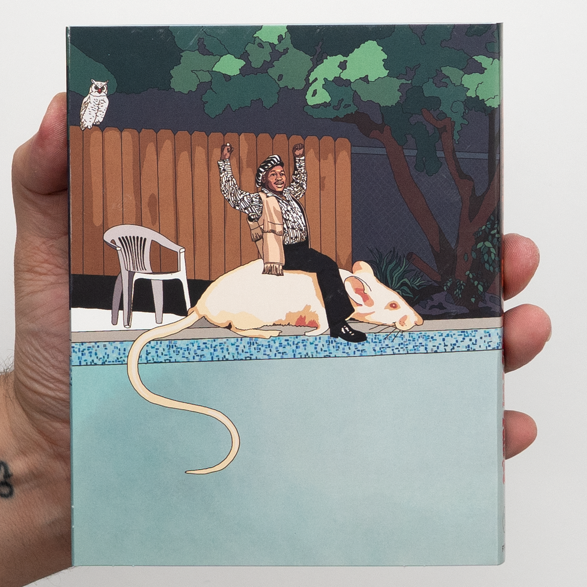 Swamp Dogg Gets His Pool Painted