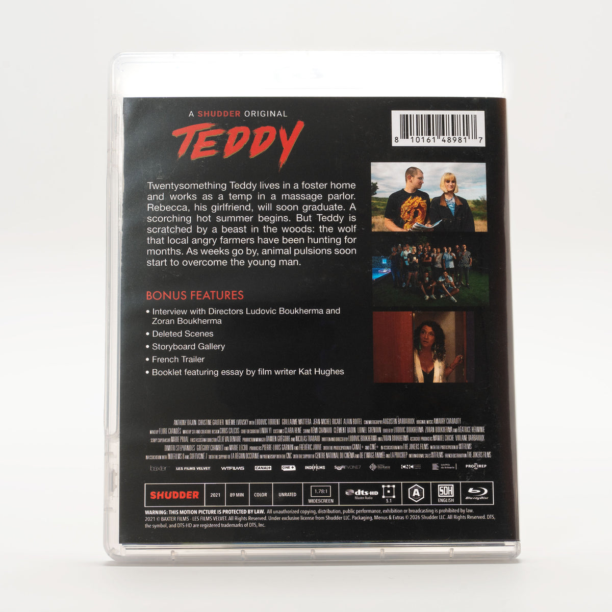 Teddy