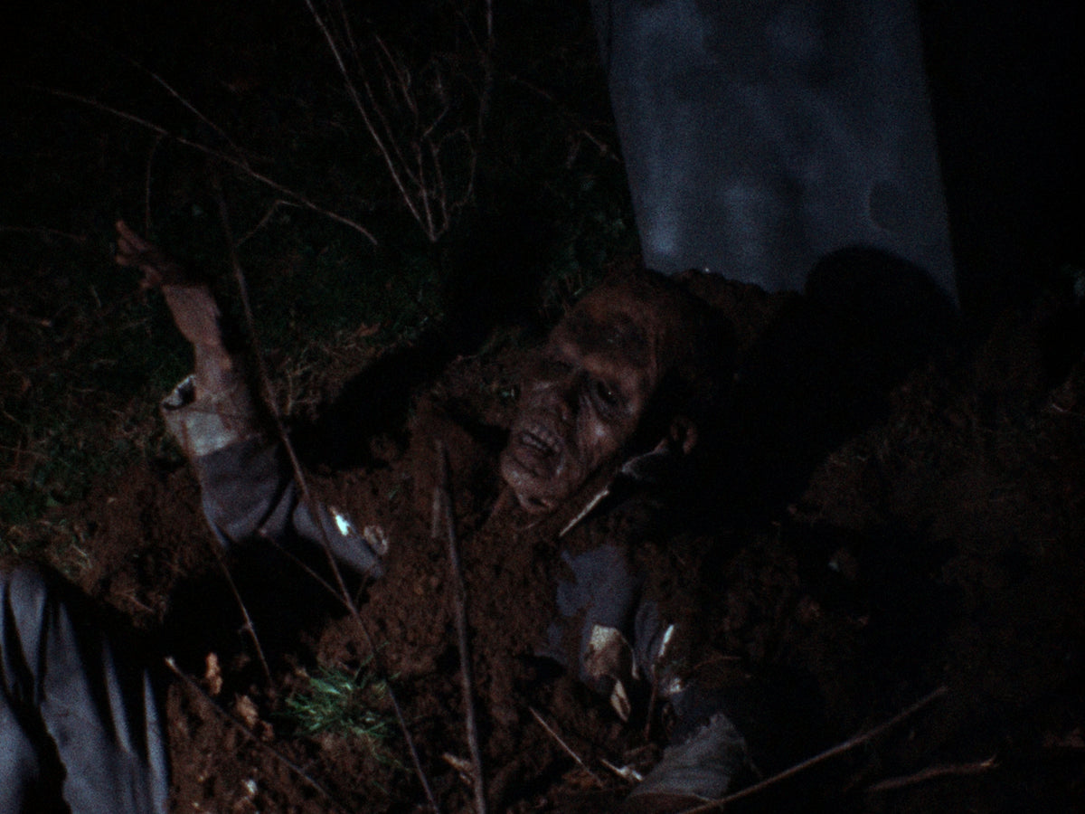 The Curse of the Screaming Dead