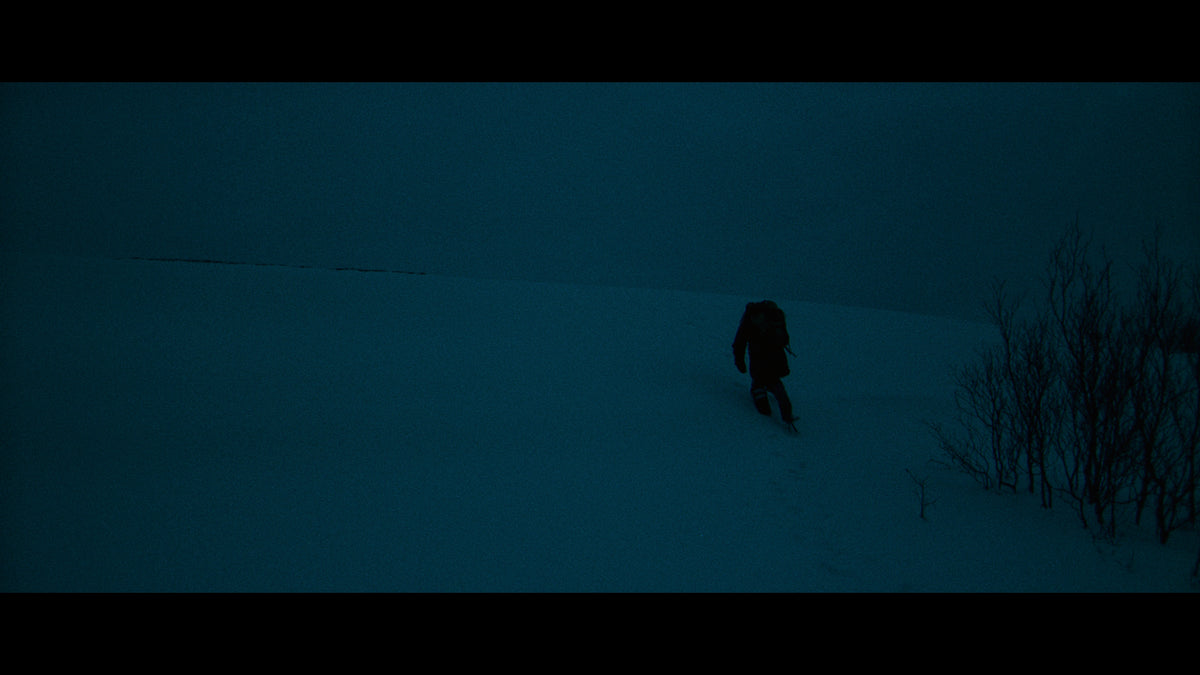 The Films of Larry Fessenden: Volume 2 - Wendigo & The Last Winter