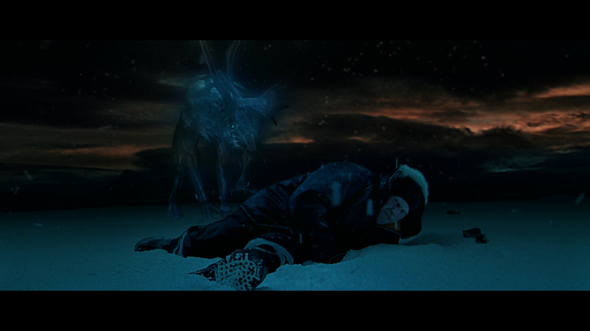 The Films of Larry Fessenden: Volume 2 - Wendigo & The Last Winter