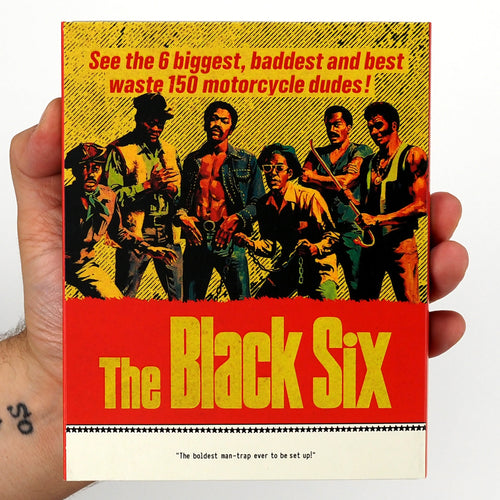 The Black Panther of Shaolin + The Black Six