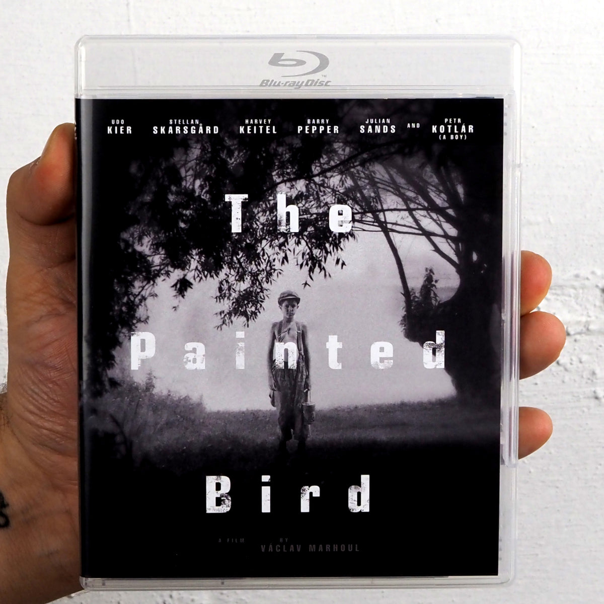 The Painted Bird
