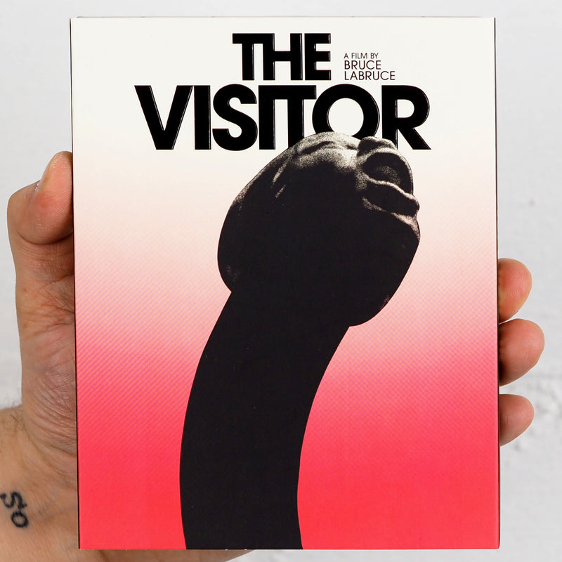 The Visitor