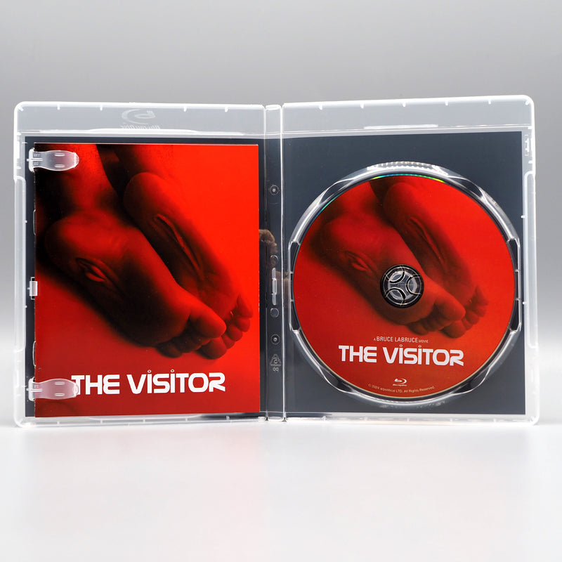 The Visitor