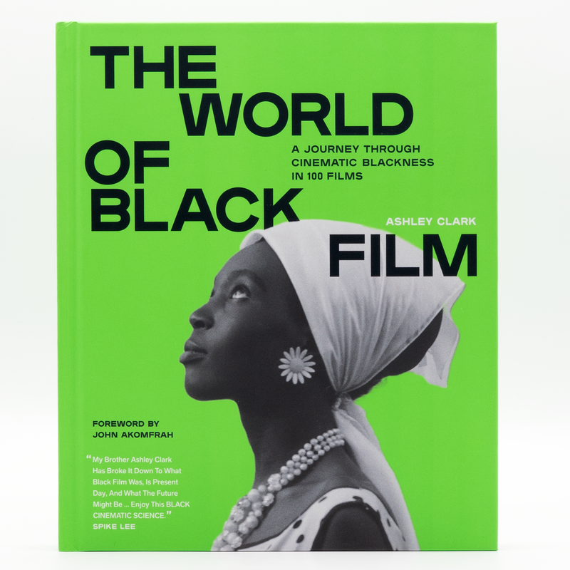 The World of Black Film: A Journey Through Cinematic Blackness in 100 ...