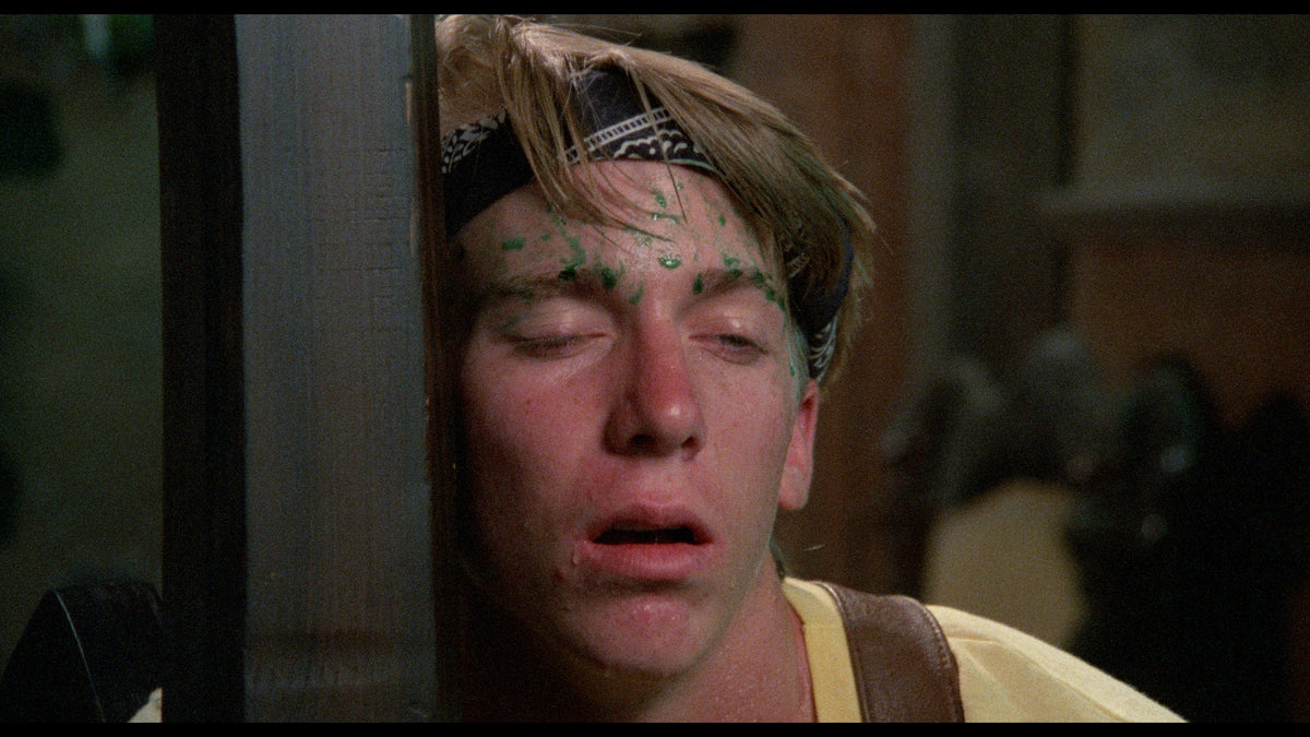 Troll 2