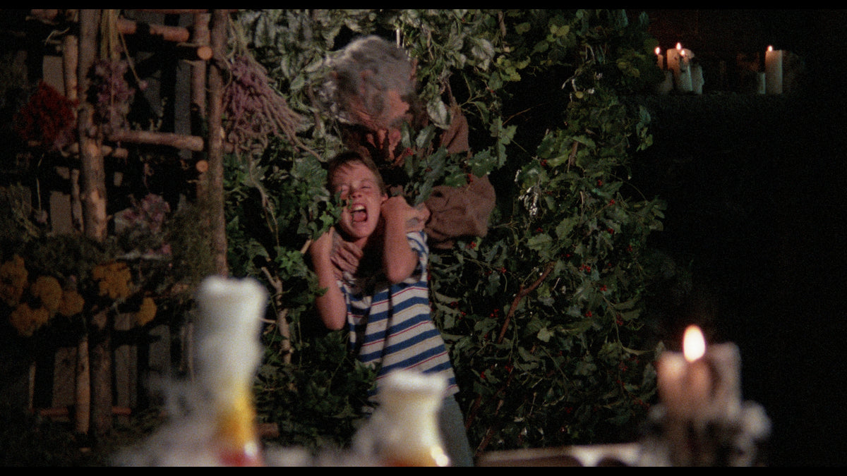 Troll 2