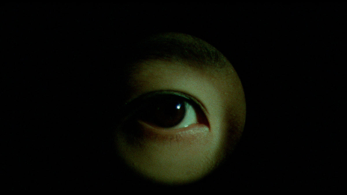 The Films of Hisayasu Satô: Volume #3 - Kyrie Eleison / Rafureshia / Turtle Vision