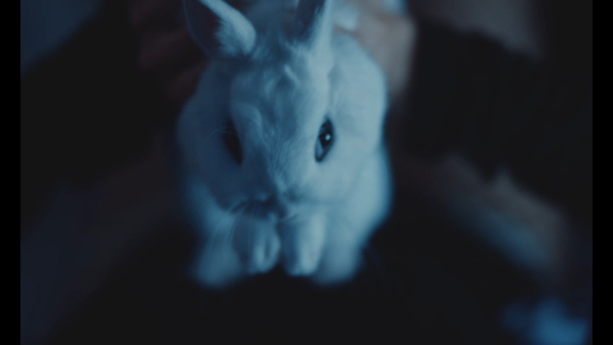 Bunnylovr