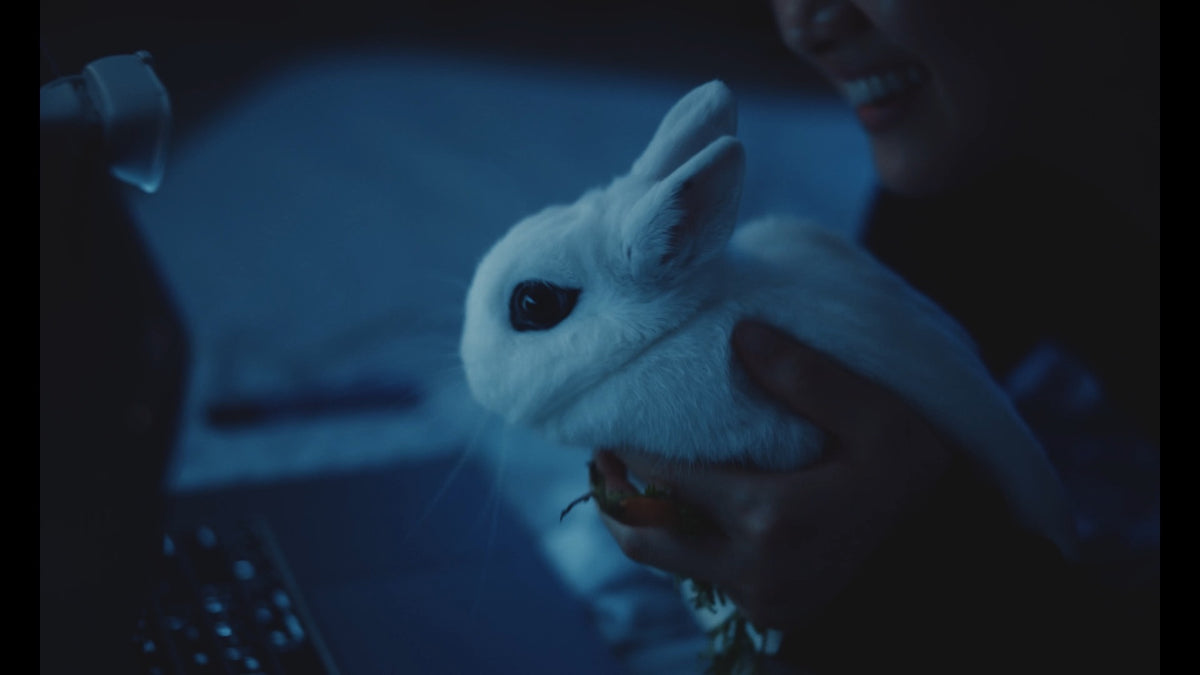 Bunnylovr