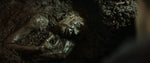 Moloch