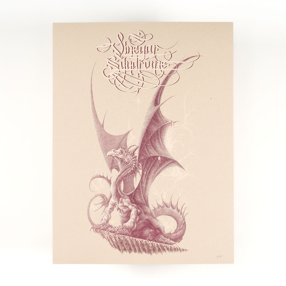 Vinegar Syndrome Dragon on the Mount - Screen Print