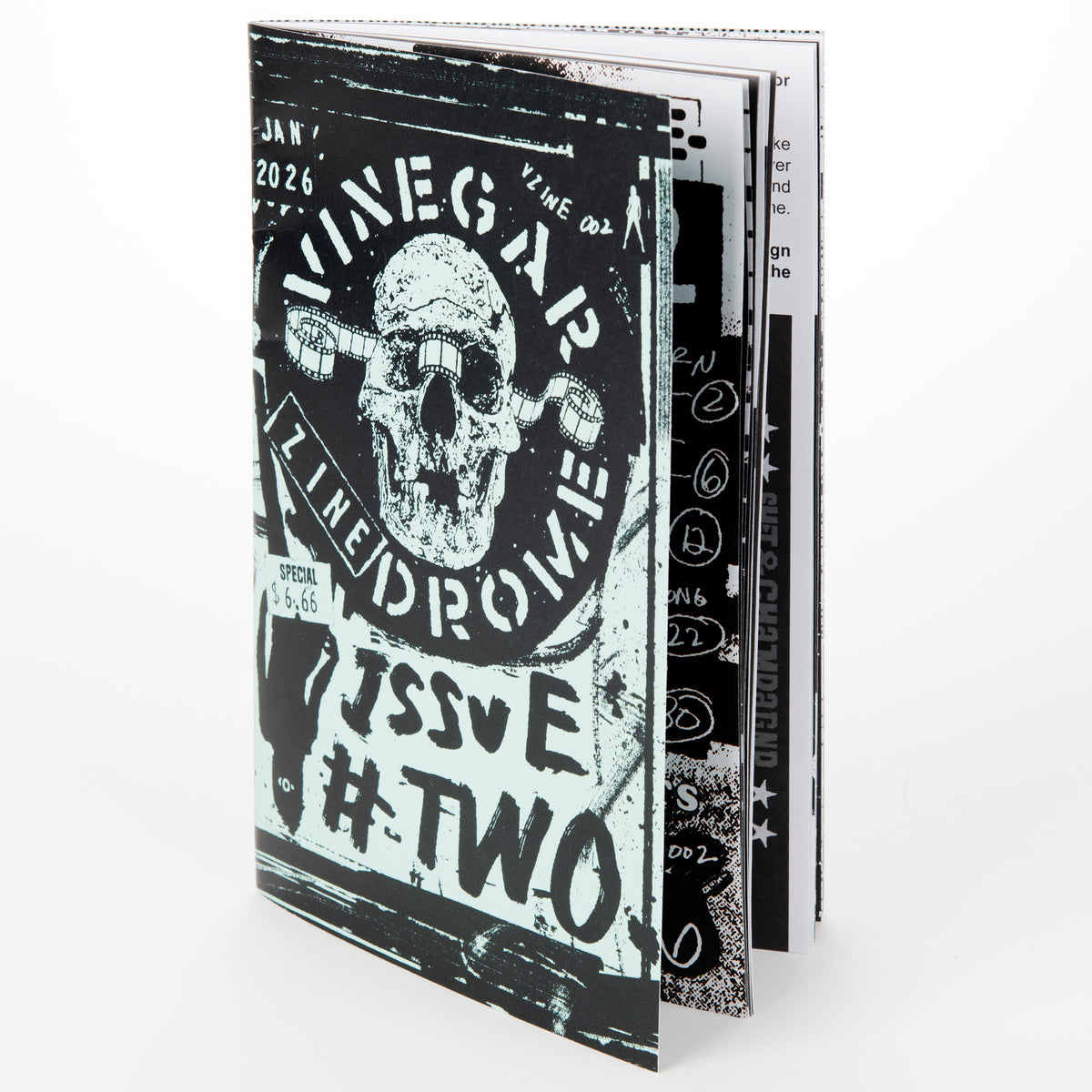 VINEGAR ZINE-DROME #2 - Paperback Zine