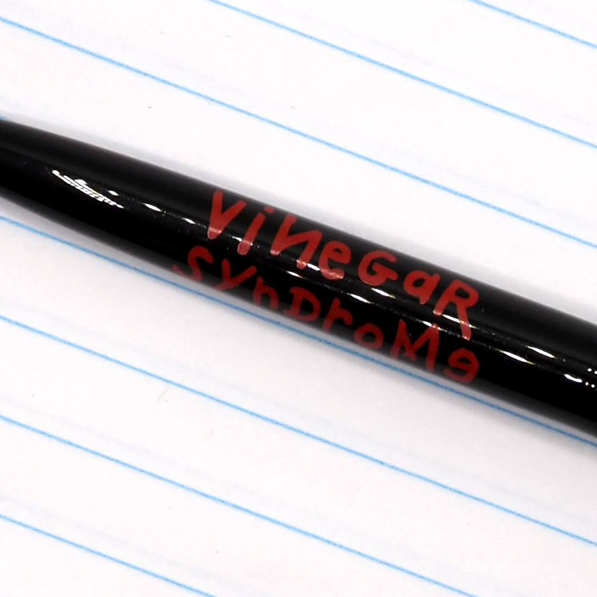 Vinegar Syndrome Back to School Notebook and Pen
