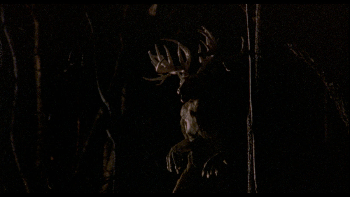 The Films of Larry Fessenden: Volume 2 - Wendigo & The Last Winter