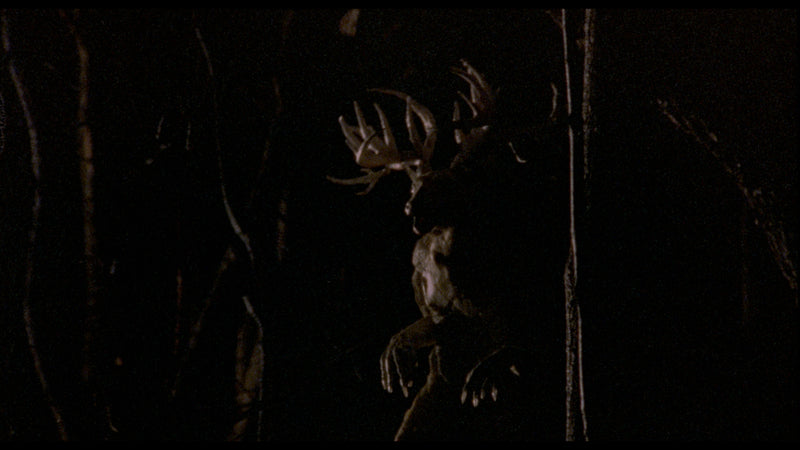 The Films of Larry Fessenden: Volume 2 - Wendigo & The Last Winter