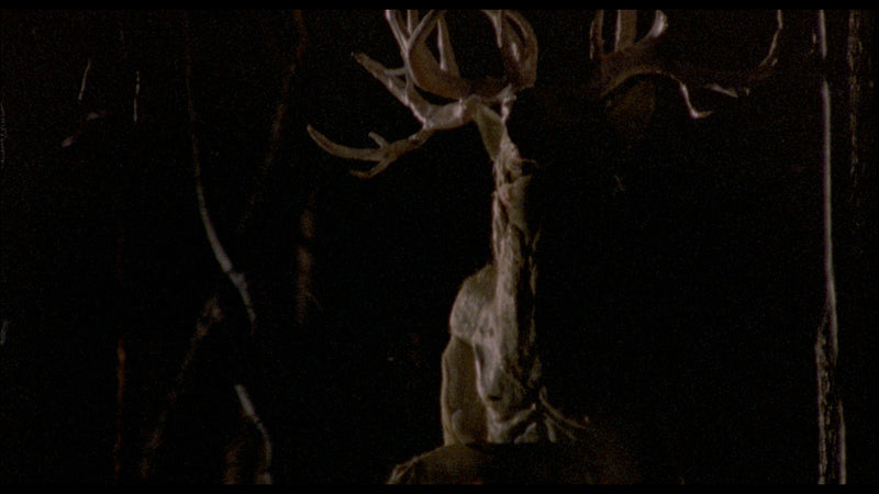 The Films of Larry Fessenden: Volume 2 - Wendigo & The Last Winter