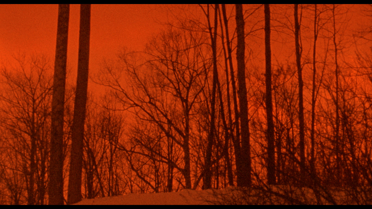 The Films of Larry Fessenden: Volume 2 - Wendigo & The Last Winter