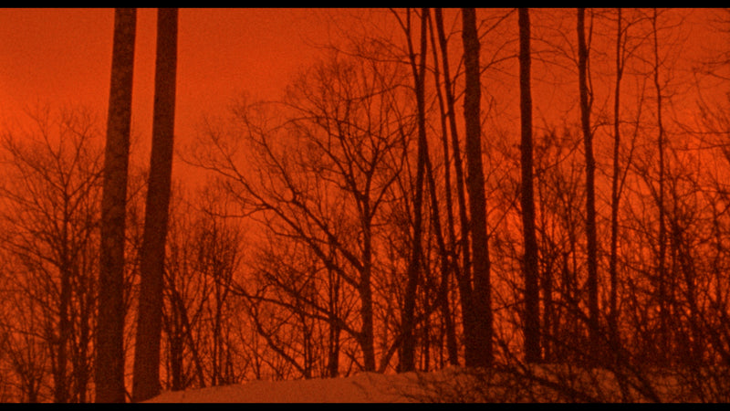 The Films of Larry Fessenden: Volume 2 - Wendigo & The Last Winter