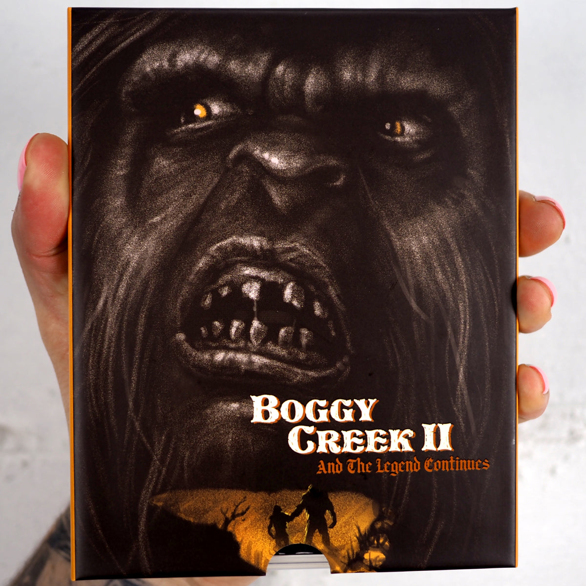Boggy Creek II: And the Legend Continues