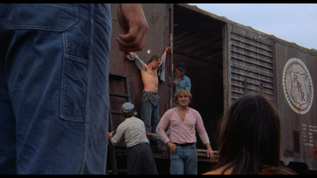 Boxcar Bertha