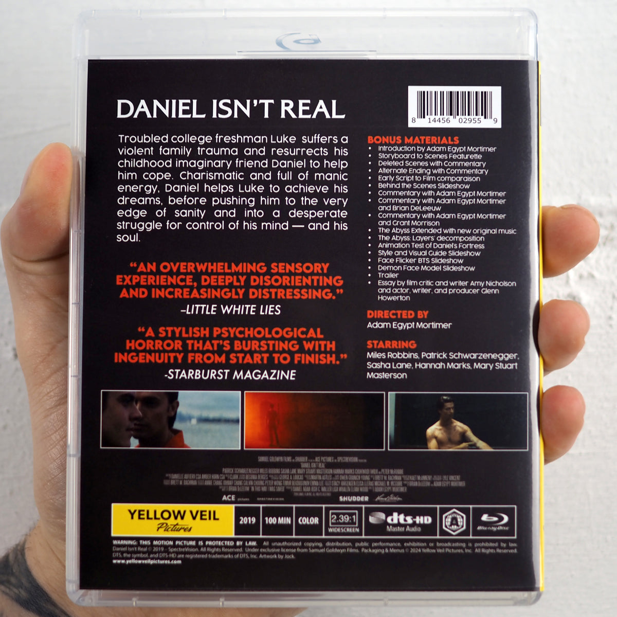 Daniel Isn't Real