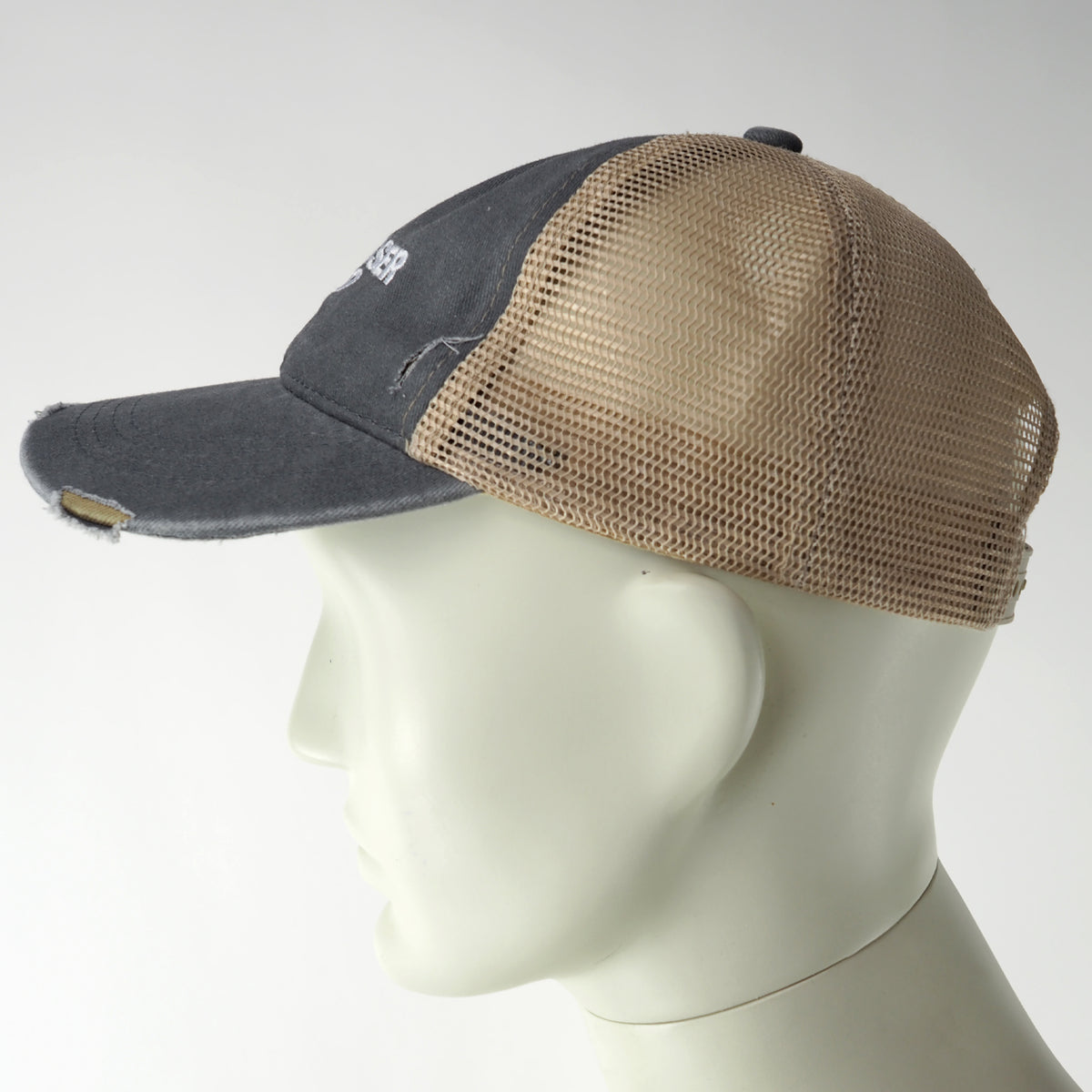 Degausser Video Logo - Trucker Hat