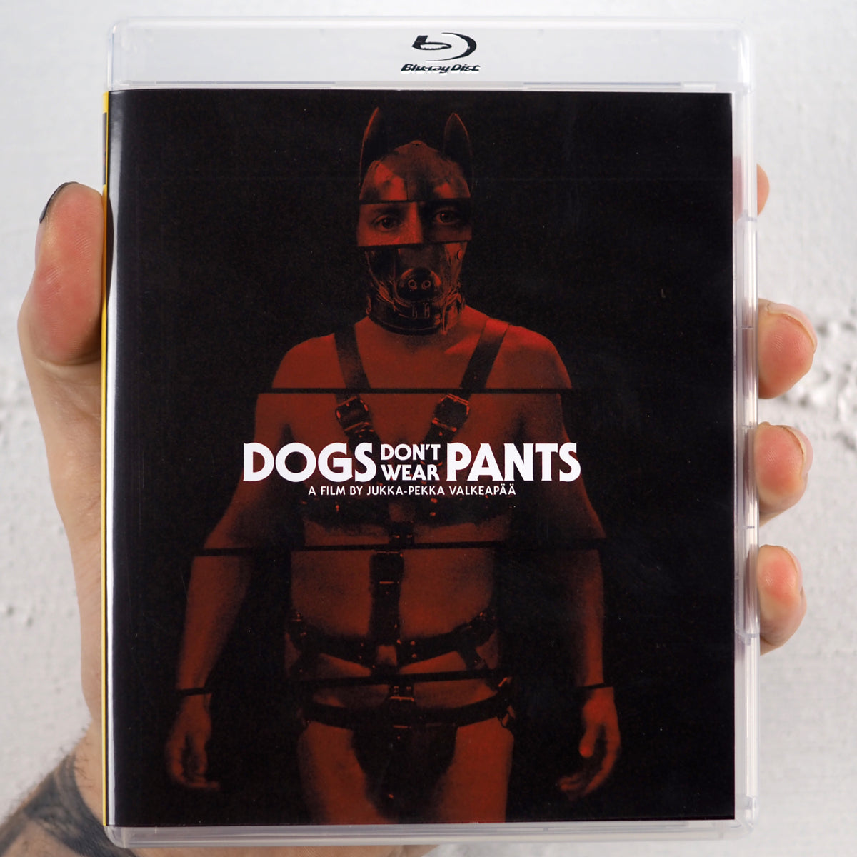 Dogs Don't Wear Pants