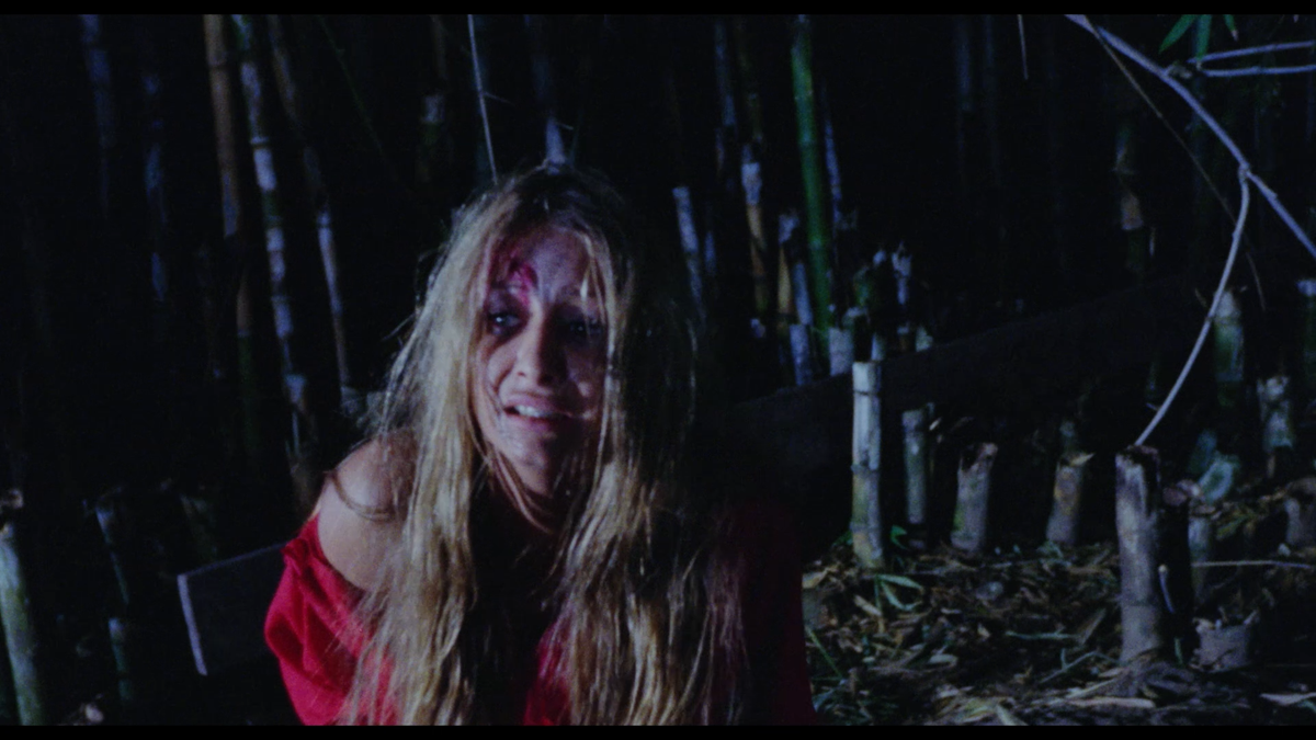 Inn of the Damned + Night of Fear