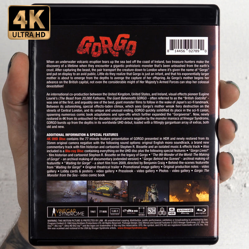 Gorgo Vinegar Syndrome